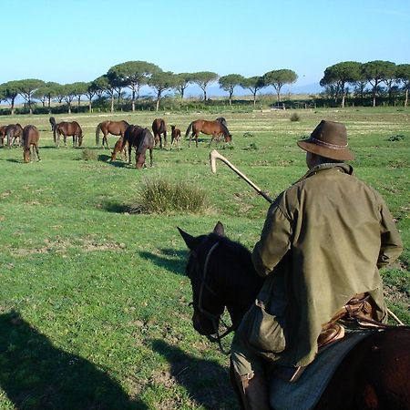 Agriturismo Biologico Sant'Egle San Quirico  Экстерьер фото