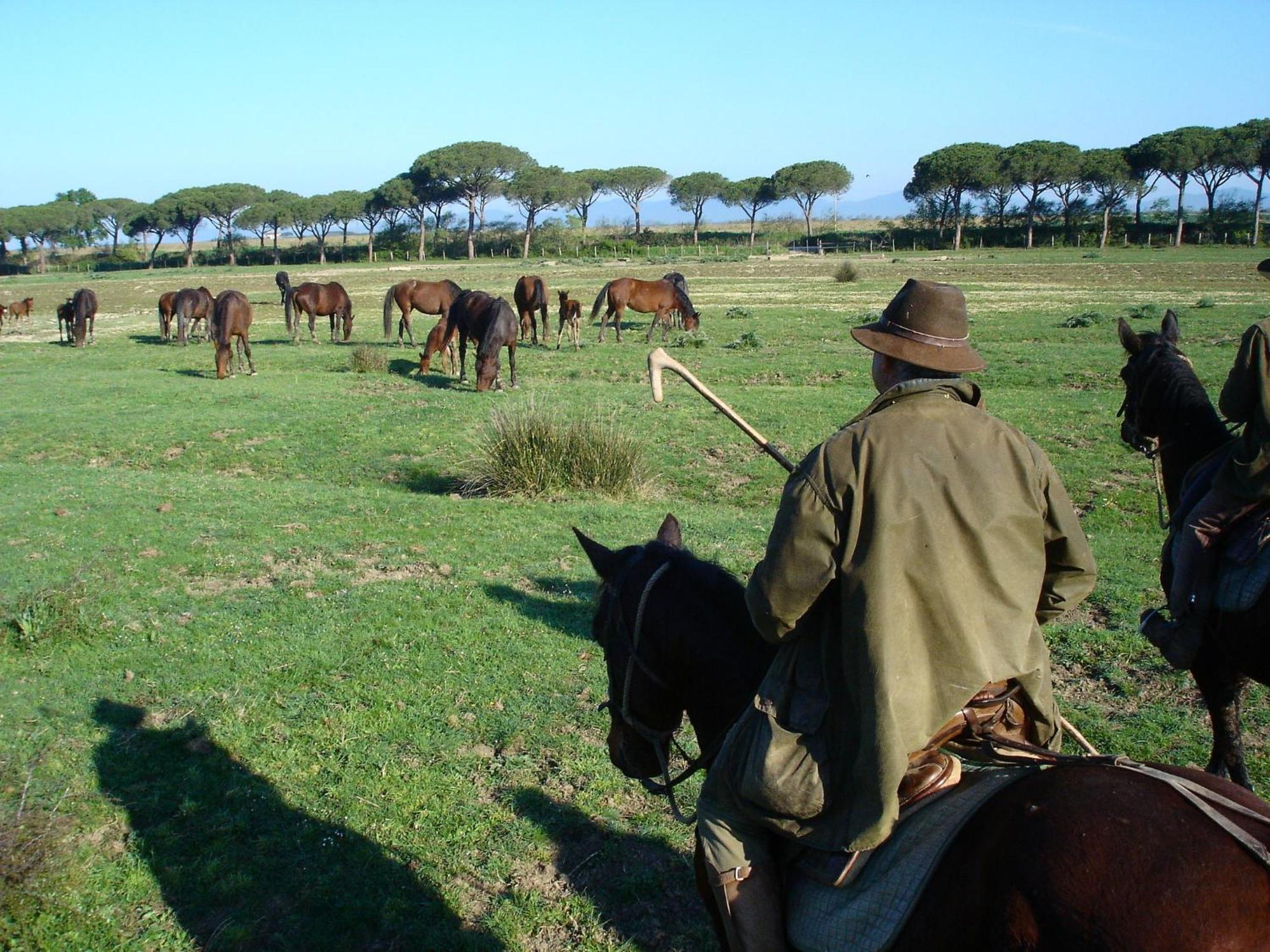 Agriturismo Biologico Sant'Egle San Quirico  Экстерьер фото