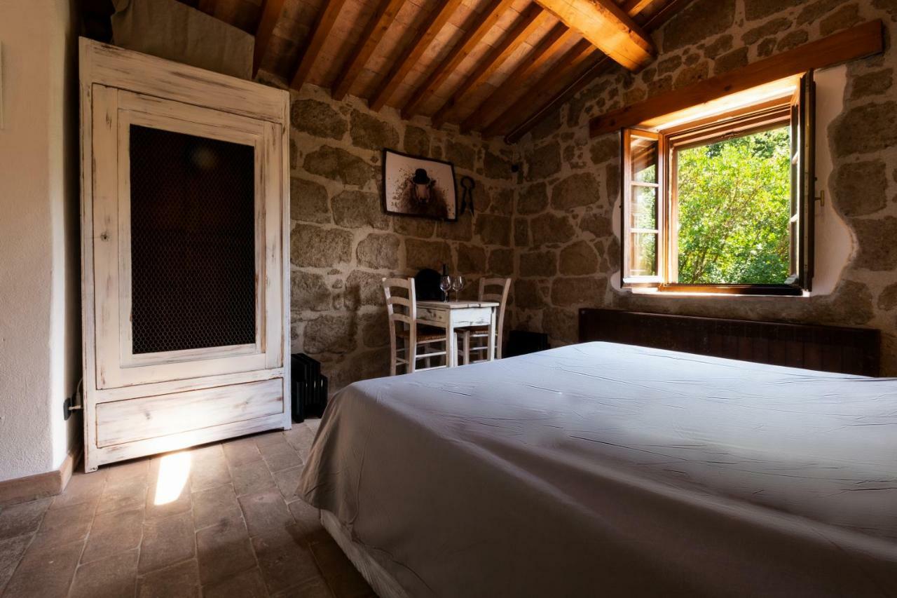Agriturismo Biologico Sant'Egle San Quirico  Экстерьер фото